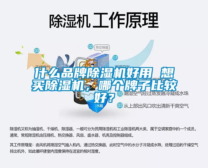 什么品牌除湿机好用 想买除湿机，哪个牌子比较好？