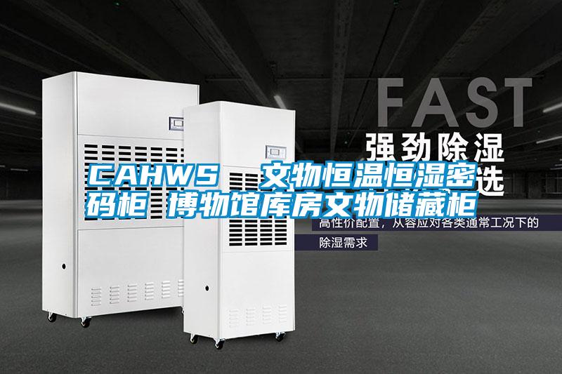 CAHWS  文物恒温恒湿密码柜 博物馆库房文物储藏柜