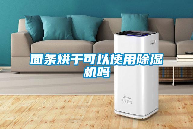 面条烘干可以使用除湿机吗
