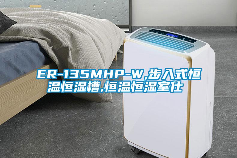 ER-135MHP-W,步入式恒温恒湿槽,恒温恒湿室仕様書