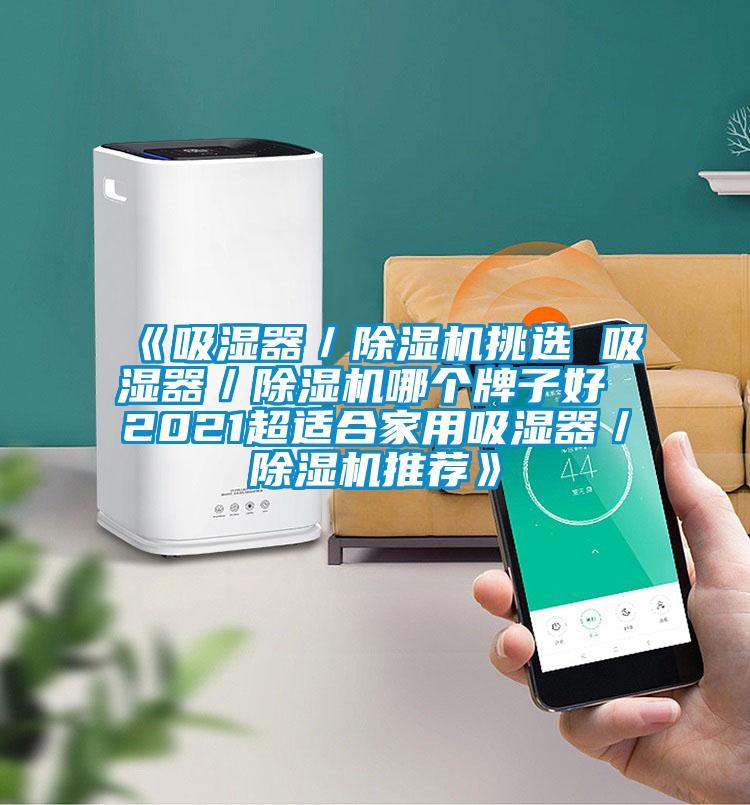 《吸湿器／除湿机挑选 吸湿器／除湿机哪个牌子好 2021超适合家用吸湿器／除湿机推荐》