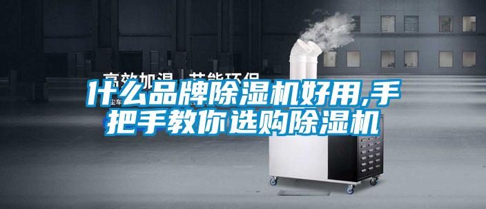 什么品牌除湿机好用,手把手教你选购除湿机