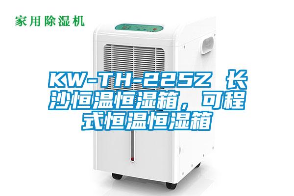 KW-TH-225Z 长沙恒温恒湿箱，可程式恒温恒湿箱
