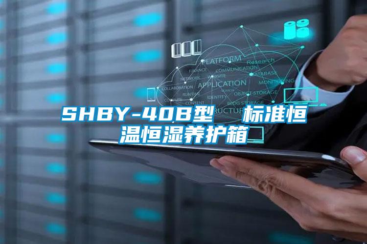 SHBY-40B型 标准恒温恒湿养护箱