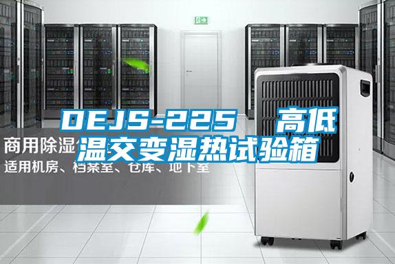DEJS-225 高低温交变湿热试验箱