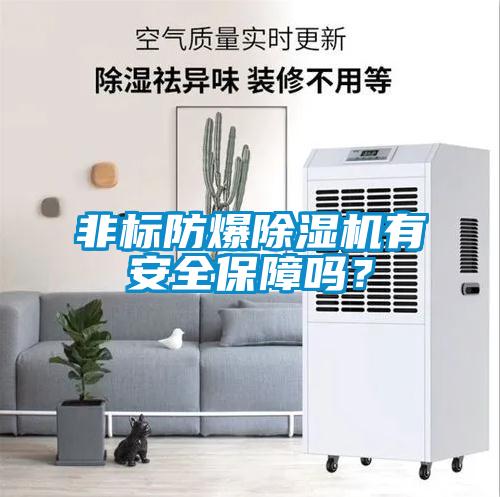 非标防爆除湿机有安全保障吗？