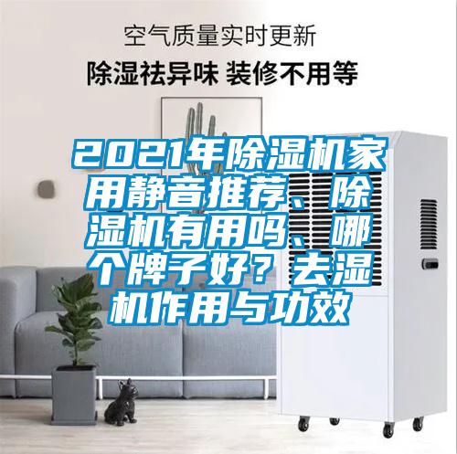 2021年除湿机家用静音推荐、除湿机有用吗、哪个牌子好？去湿机作用与功效