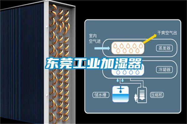 东莞工业加湿器