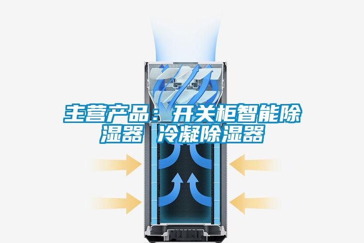 主营产品：开关柜智能除湿器 冷凝除湿器