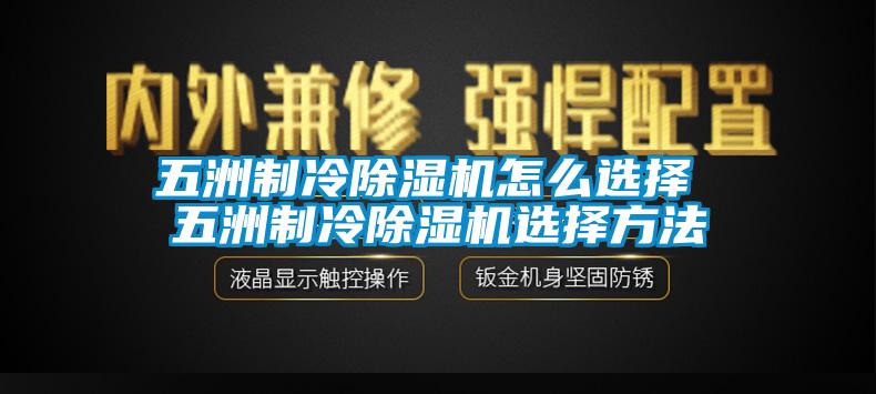 五洲制冷除湿机怎么选择 五洲制冷除湿机选择方法