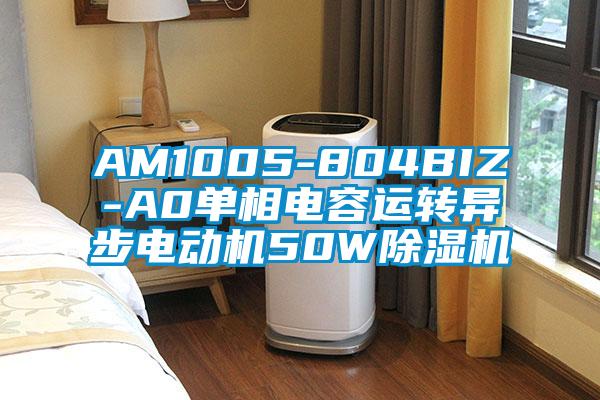 AM1005-804BIZ-A0单相电容运转异步电动机50W除湿机