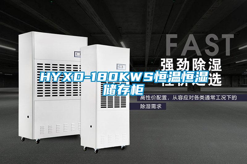 HYXD-180KWS恒温恒湿储存柜