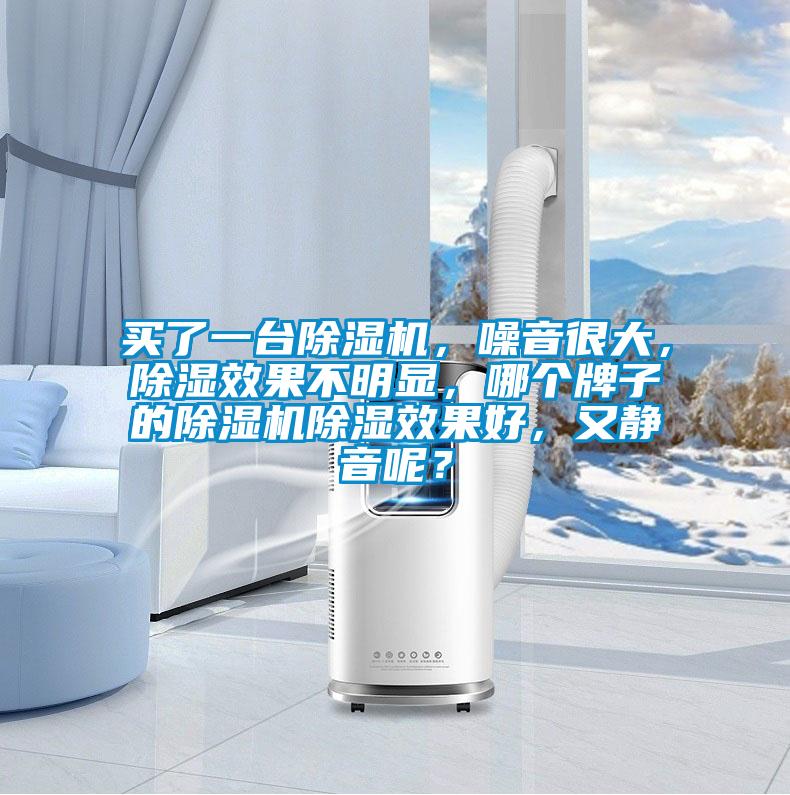 买了一台除湿机，噪音很大，除湿效果不明显，哪个牌子的除湿机除湿效果好，又静音呢？