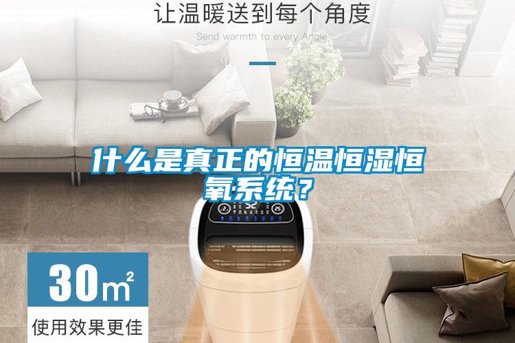 什么是真正的恒温恒湿恒氧系统？