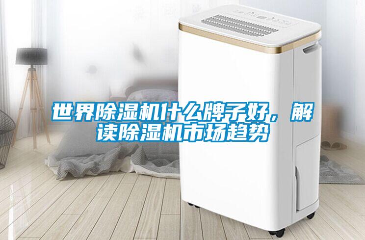 世界除湿机什么牌子好，解读除湿机市场趋势