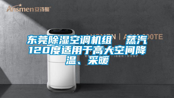 东莞除湿空调机组  蒸汽120度适用于高大空间降温、采暖