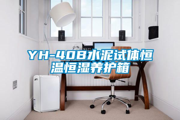 YH-40B水泥试体恒温恒湿养护箱
