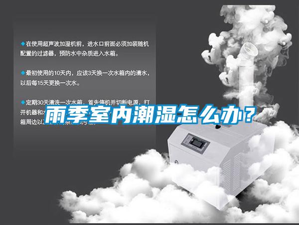 雨季室内潮湿怎么办？