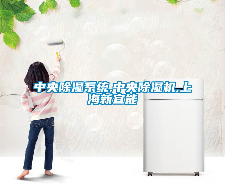 中央除湿系统,中央除湿机,上海新宜能