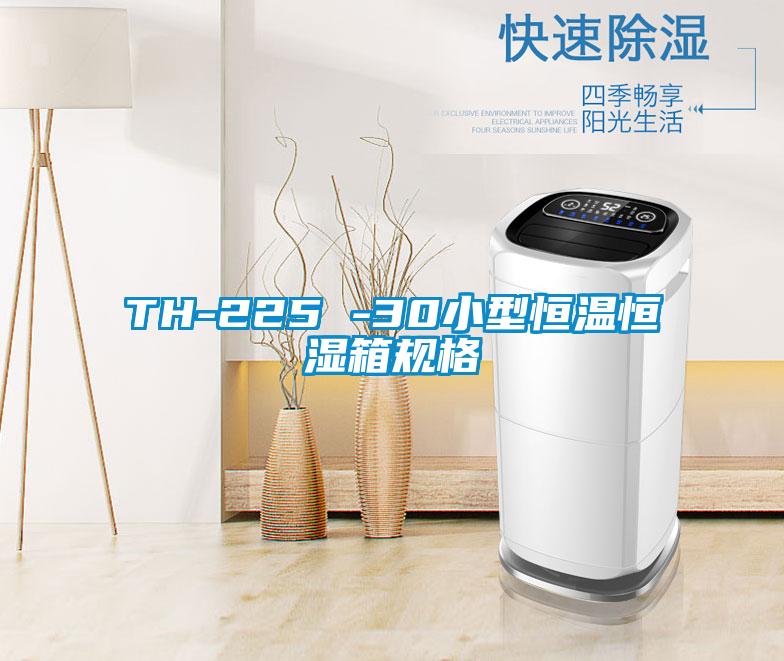 TH-225 -30小型恒温恒湿箱规格