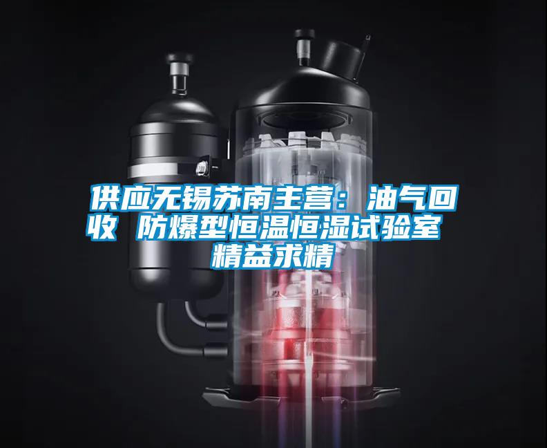 供应无锡苏南主营：油气回收 防爆型恒温恒湿试验室 精益求精