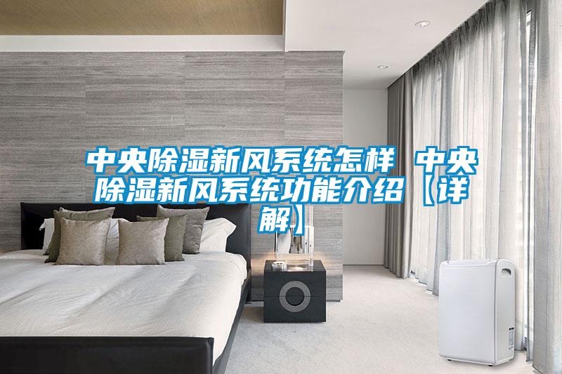 中央除湿新风系统怎样 中央除湿新风系统功能介绍【详解】
