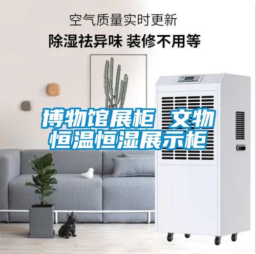 博物馆展柜 文物恒温恒湿展示柜