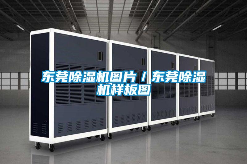 东莞除湿机图片／东莞除湿机样板图