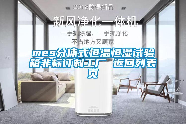 mes分体式恒温恒湿试验箱非标订制工厂 返回列表页