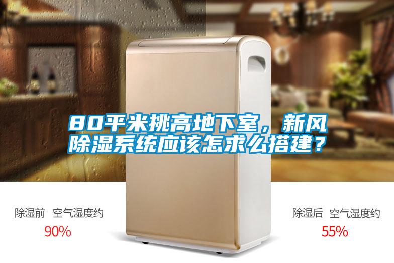80平米挑高地下室,新风除湿系统应该怎求么搭建?