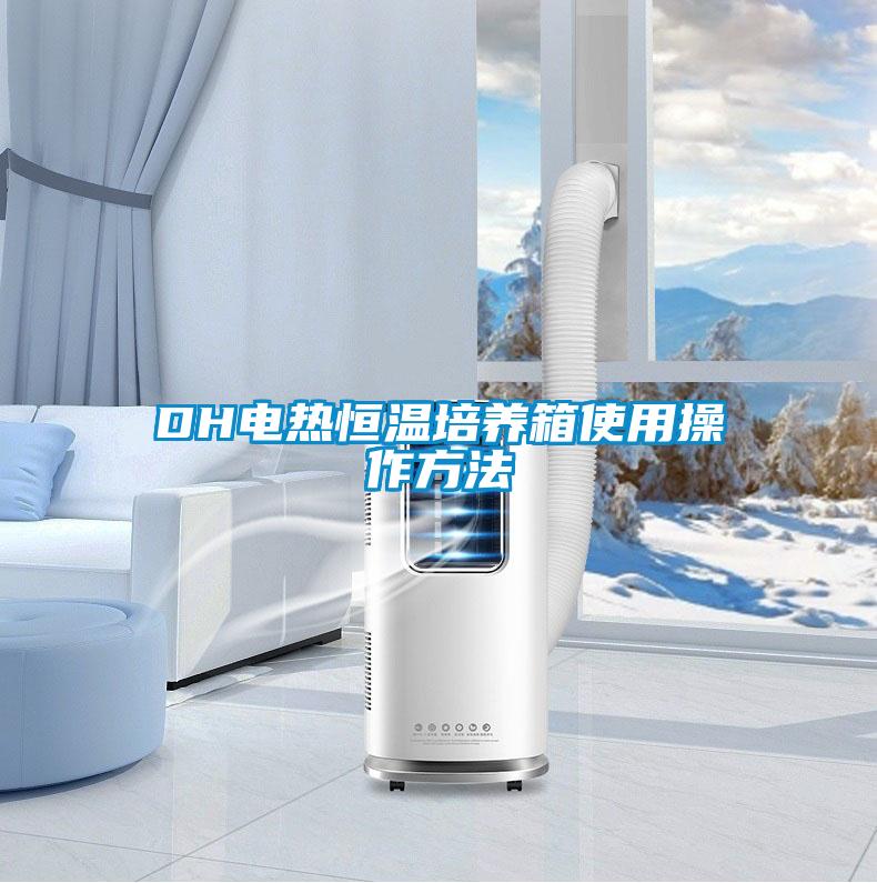 DH电热恒温培养箱使用操作方法