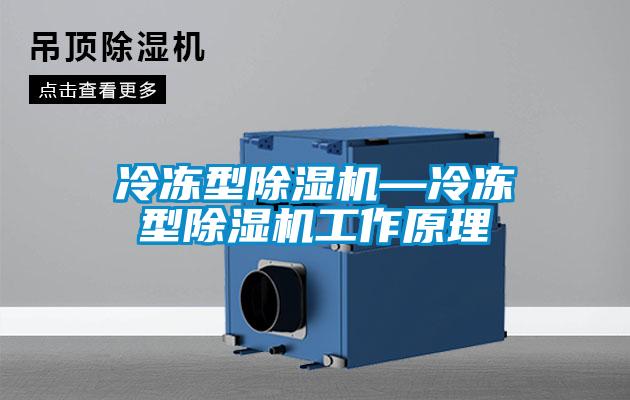 冷冻型除湿机—冷冻型除湿机工作原理