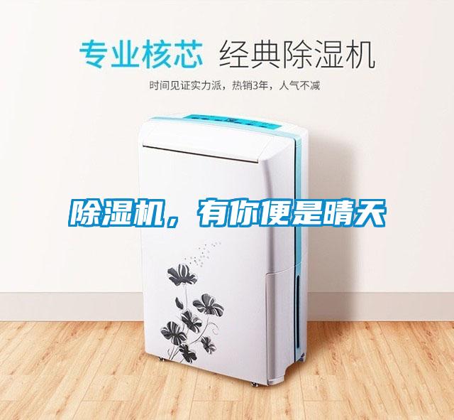 除湿机，有你便是晴天