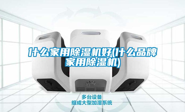 什么家用除湿机好(什么品牌家用除湿机)