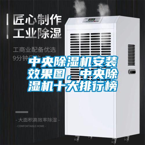 中央除湿机安装效果图，中央除湿机十大排行榜