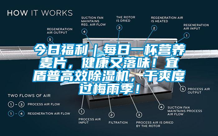 今日福利｜每日一杯营养麦片，健康又落味！宜盾普高效除湿机，干爽度过梅雨季！