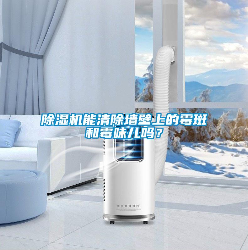 除湿机能清除墙壁上的霉斑和霉味儿吗？