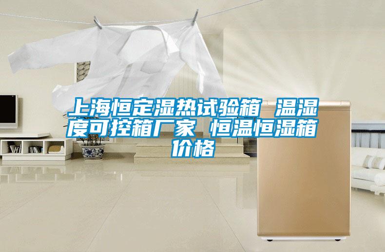 上海恒定湿热试验箱 温湿度可控箱厂家 恒温恒湿箱价格