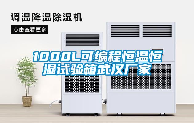 1000L可编程恒温恒湿试验箱武汉厂家