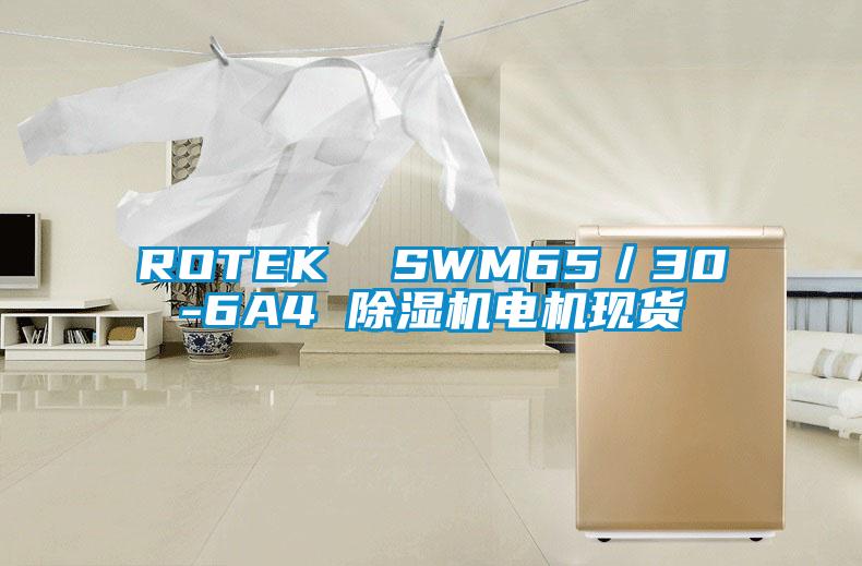 ROTEK SWM65/30-6A4 除湿机电机现货