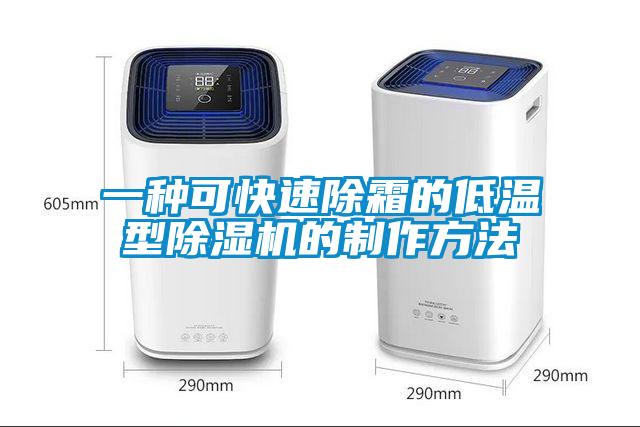 一种可快速除霜的低温型除湿机的制作方法