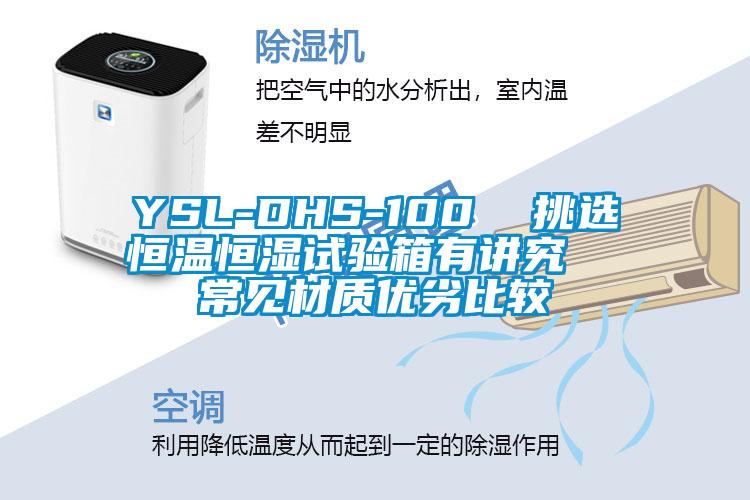 YSL-DHS-100  挑选恒温恒湿试验箱有讲究  常见材质优劣比较