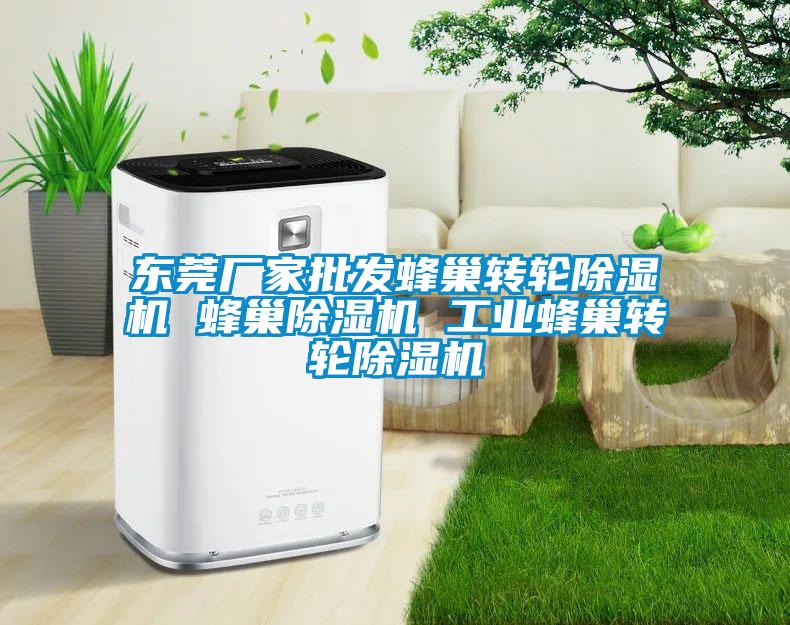 东莞厂家批发蜂巢转轮除湿机 蜂巢除湿机 工业蜂巢转轮除湿机