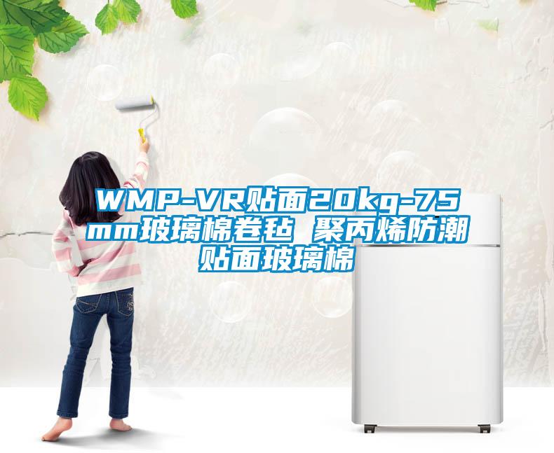WMP-VR贴面20kg-75mm玻璃棉卷毡 聚丙烯防潮贴面玻璃棉