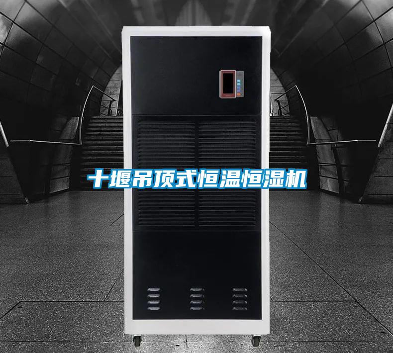 十堰吊顶式恒温恒湿机