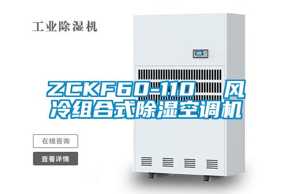 ZCKF60-110 风冷组合式除湿空调机