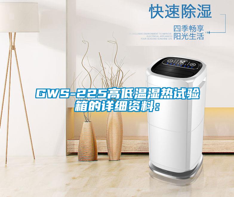 GWS-225高低温湿热试验箱的详细资料: