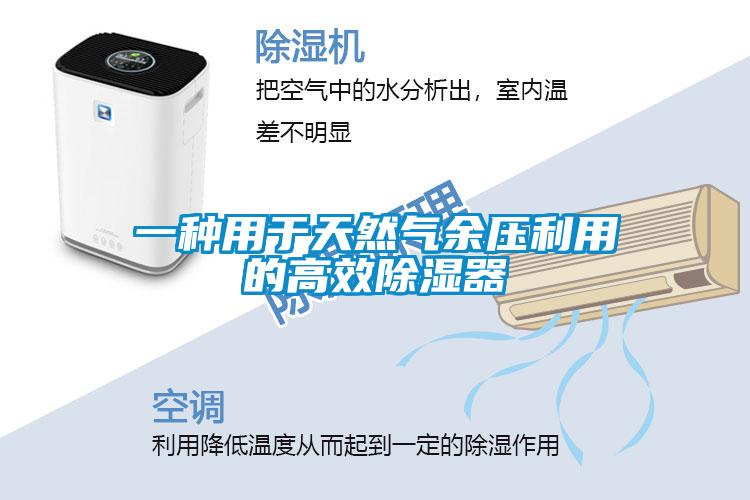一种用于天然气余压利用的高效除湿器