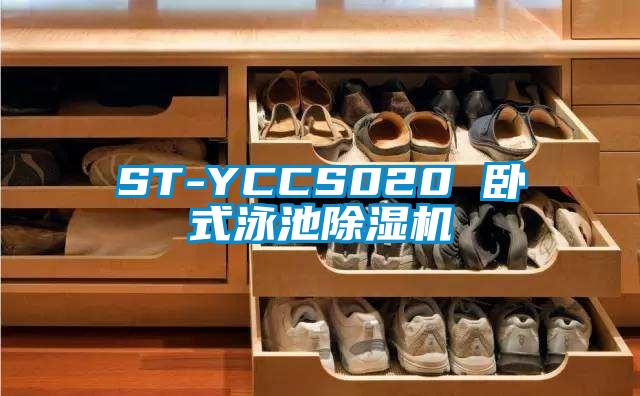 ST-YCCS020 卧式泳池除湿机