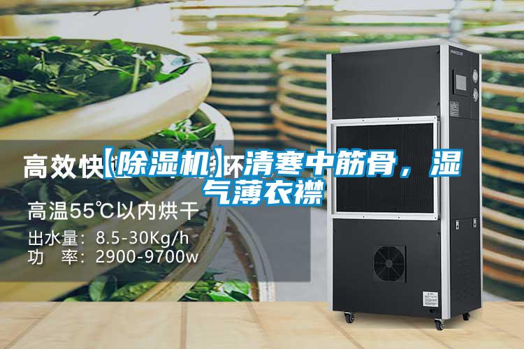 【除湿机】清寒中筋骨，湿气薄衣襟